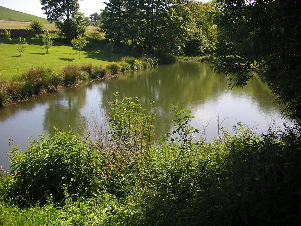 Balhousie Farm Bed And Breakfast Kirkton of Largo Zewnętrze zdjęcie